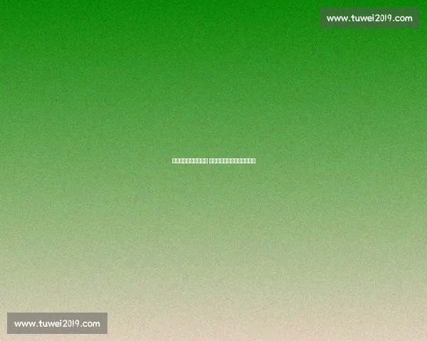 郑钦文伤退柏林草地赛 以五号种子身份全力备战温网